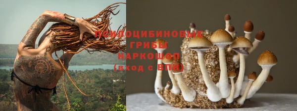 прущий лед Армянск
