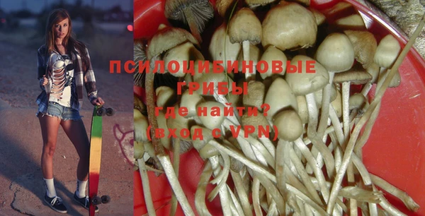 прущий лед Армянск