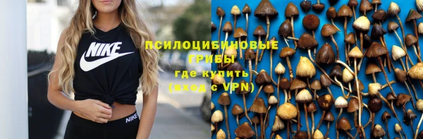 прущий лед Армянск